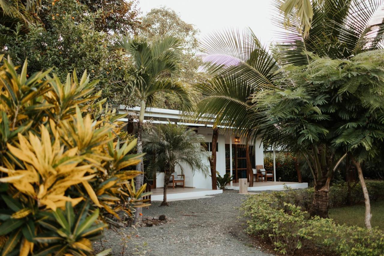 Salvatierra Beachfront Hotel Puerto Coyote Dış mekan fotoğraf